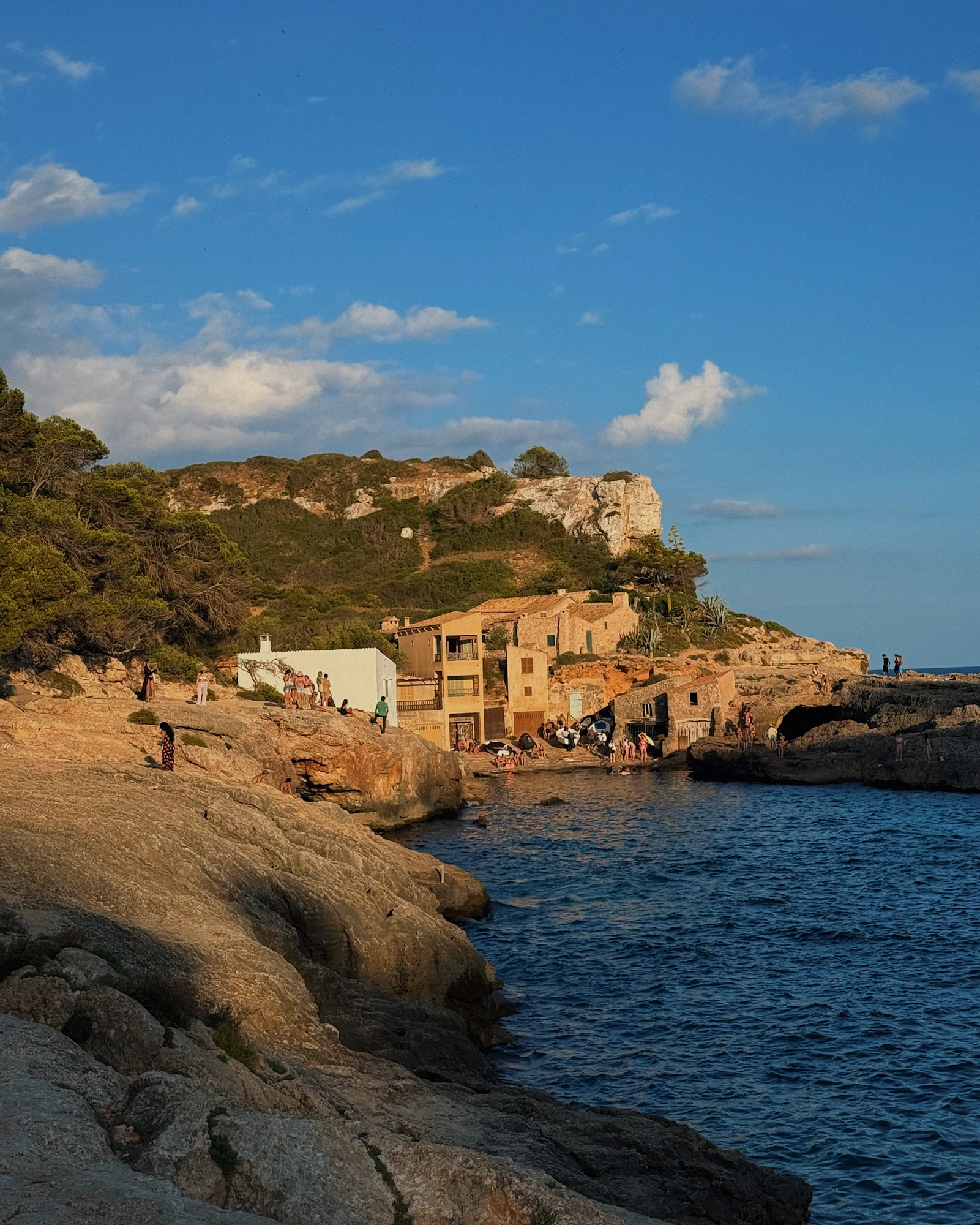 Palma