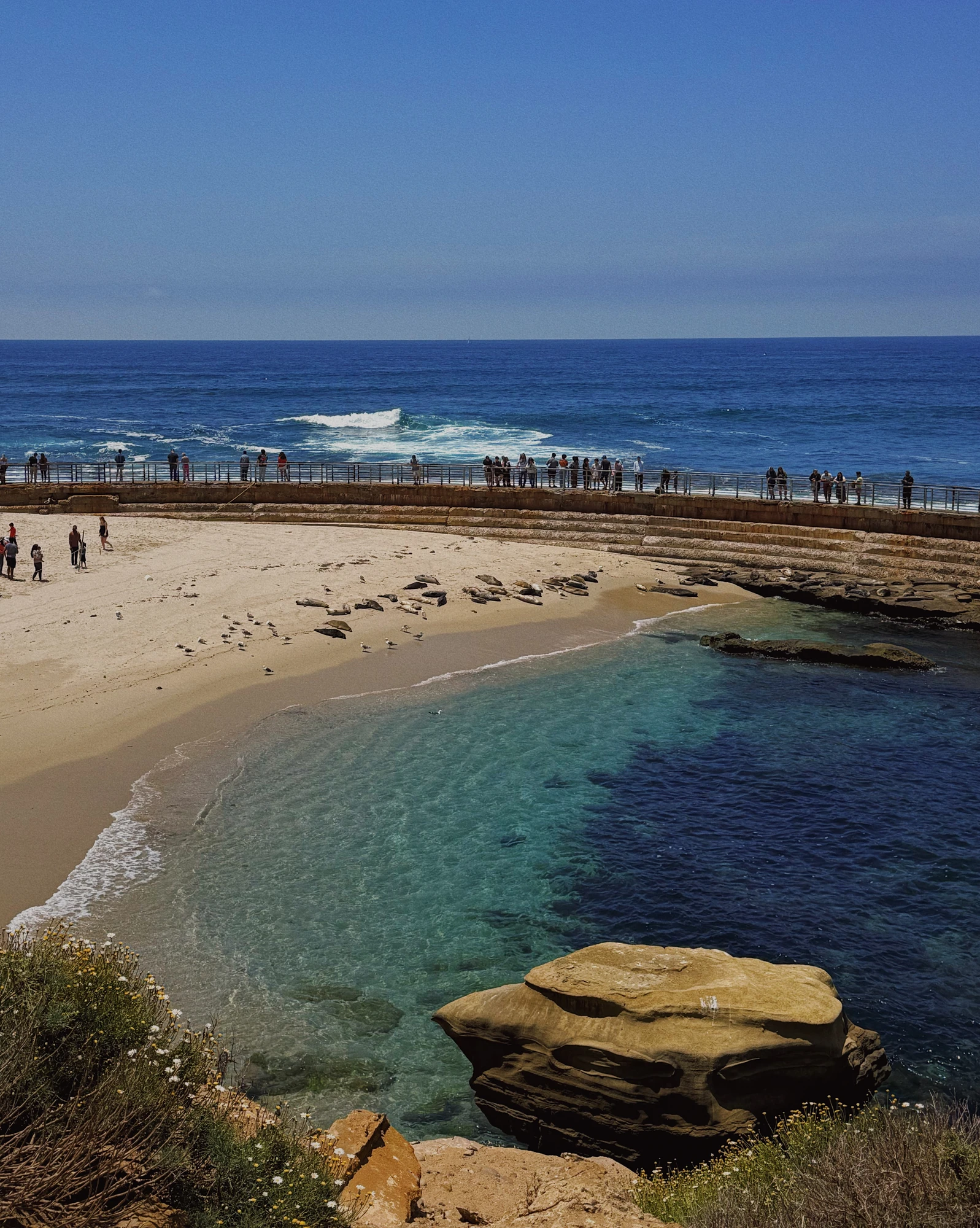 San Diego